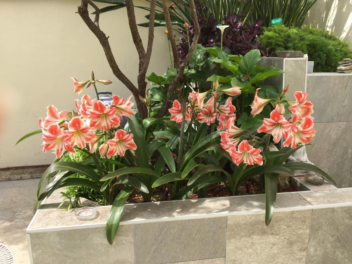 חרז Apartamento Bizcocheros Con Piscina Y Jardin Privado מראה חיצוני תמונה